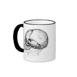 child skull and adult skull mug