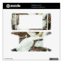Childe Hassam - Mrs Hassam and her sister Skin For Sidekick 4G