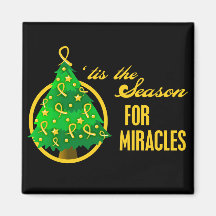 Childhood Cancer Christmas Miracles Magnets