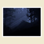 Children of the Night posters