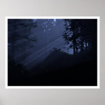 wolf, wolves, forest, night, moonbeams, blasphemy, bliss, digital realism, Poster with custom graphic design
