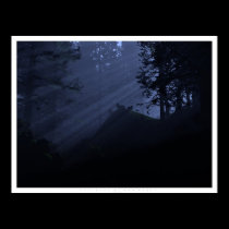 Children of the Night posters