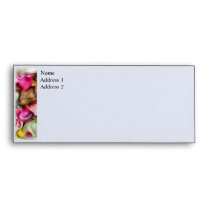 Children's Hats envelopes