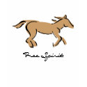 Children's Horse Shirt