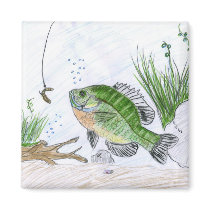 Children's Winning Artwork: bluegill magnets by pwuebker Children's Winning Artwork: bluegill magnets