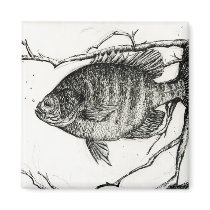 Children's Winning Artwork: bluegill magnets by pwuebker Children's Winning Artwork: bluegill magnets