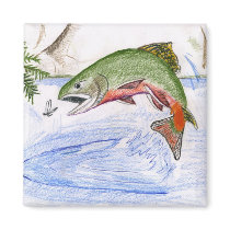 Children's Winning Artwork: brook trout magnets by pwuebker Children's Winning Artwork: brook trout magnets