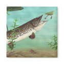 Children's Winning Artwork: northern pike magnets