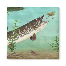 Children's Winning Artwork: northern pike magnets by pwuebker Children's Winning Artwork: northern pike magnets