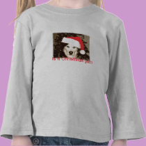 Child's Christmas T-Shirt t-shirts