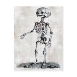 Child's Skeleton Postcard