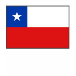 Chilean Flag + Map Spaghetti Top