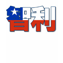 Chile - In Chinese T-Shirt
