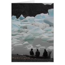 Chilean Glacier Card cards
