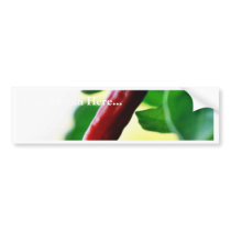 Chili Chillies Peppers bumper stickers by lifesphere Chili Chillies Peppers bumper stickers