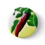 Chili Chillies Peppers buttons