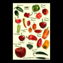 Chili ID Poster posters