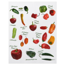 Chili Pepper ID Flyer Design