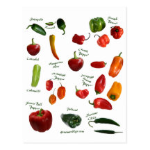 Chili Pepper ID Postcard