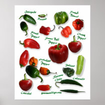 Chili Pepper Varieties Posters