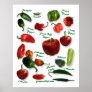 Chili Pepper Varieties Posters
