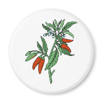 Chili Peppers magnets