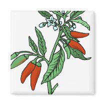 Chili Peppers magnets