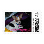"Chili Pic" postage