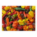 Chili Pile Postcard