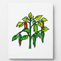 Chili Plant Many Peppers Graphic Photo Plaques