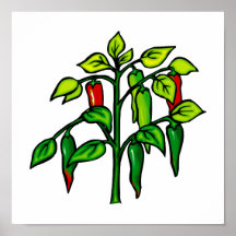 Chili Plant Many Peppers Graphic Print