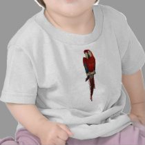 Chili t-shirts