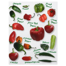 Chili Varieties flyers by chili_state Chili Varieties flyers