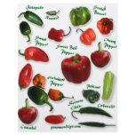 Chili Varieties Full Color Flyer