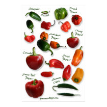 Chili Varieties Wall Art posters