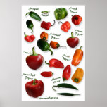 Chili Varieties Wall Art posters