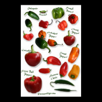 Chili Varieties Wall Art posters