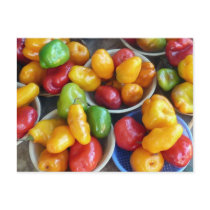 CHILIES postcards by billdelaluz CHILIES postcards