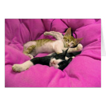 Chill Bill & Relax Max cards by Rainmountain Chill Bill & Relax Max cards