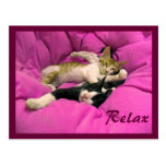 Chill Bill & Relax Max Post Cards