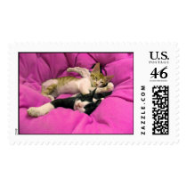 Chill Bill - Relax Max (Postage)