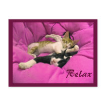 Chill Bill & Relax Max postcards