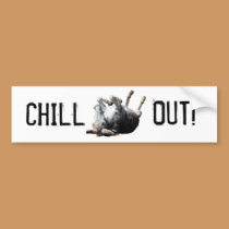 Chill Out Sticker bumper stickers