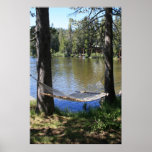 Chill Spot Posters