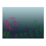 chilled out garden postcard