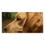 Chilli Dog Personalized Photo Card