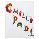 Chilli Padi Chili Peppers Full Color Flyer