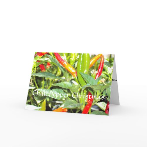 Chilli Pepper Christmas card