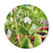 Chilli Plants Green magnets by lifesphere Chilli Plants Green magnets
