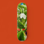 chilli, plants, green, plant, fruit, seeds,